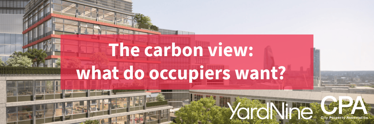 The carbon view-2 (4)